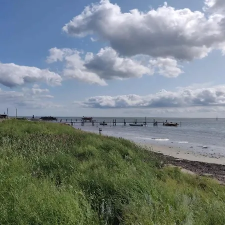 Lush In * Hadsund