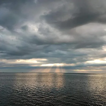 Lush In * Hadsund